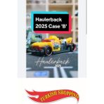 Hot Wheels 2025 Case 1:64 Ölçek Haulerback Koleksiyonluk Oyuncak Araba