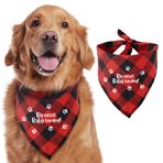 HOUNDNINE - Big News Baby Coming! - Kırmızı ve Siyah Ekose, Duyuru Köpek Bandana - Ayarlanabilir Boyun Kıyafeti Önlüğü - Evcil Hayvan Eşarp Dekorasyon Aksesuarları - Köpek Severler için Köpek Hediyesi