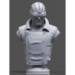 House Of Figure Spider-Man Noir Bust - Ürün Renklidir - 13X9X20CM