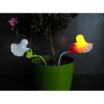 HOUSETREND Dekoratif sevimli Biblo Modern Plastik 2'li Hayalet Saksı Dekoru, 10x11 cm, Beyaz ve Turuncu, Pil ile Kullanım, Ev Dekorasyonu boo-tanical goost botanik