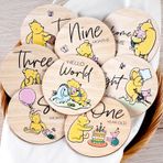 HOUÍSM Winnie Baby Kilometre Taşı Kartları, Ahşap Çember Diskleri, Bebek Fotoğraf Dikmesi için, Duyuru ve Merhaba Dünya İşaretli - 8 Adet Çift Taraflı İşaretleyici, Bebek Duşu, Kreş Hediyesi için