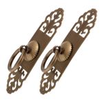 Housoutil 2 Adet Vintage Stil Kolu Çeker Kitaplık Dolap Çekmece Pirinç Çift Kapı Kolu Yatak Odası Çalışma Odası Dolapları Çekmece Dolap (vida Sabitleme Tarzı)