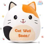 Houwsbaby 30,48 cm Get Well Soon Kedi Peluş Yastık, Patiska Kedi Doldurulmuş Hayvan, Yumuşak Koltuk Minderi Yumuşacık Peluş Kitty Oyuncak, Hastayı İyileştirmek İçin Daha İyi Hissedin