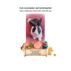 How to make your bunny fall in love with you: How to teach your human about Play and Entertainment that occupy, stimulate and satisfy the most active bunny from their point of view.