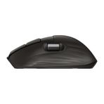 HP 780m Ultra-Fast Scroll Siyah Kablosuz Mouse