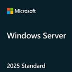 HPE P77100-A21 2025 Standart ROK Windows Server