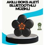 Hsc Bilişim Ev Tipi Akıllı Boks Duvar Paneli Müzikli Bluetoothlu Refleks Geliştirme Cihazı - 001-Renkli