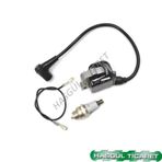 Hsgl Husqvarna Motorlu Testere 51 55 61 Ateşleme Bobini Buji Set