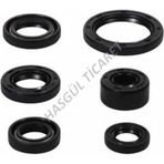 Hsgl Motorsiklet Cub 100 110 125 Motor Keçesi Komple Takım 6 Lı Cub Modeller Keçe Takımı