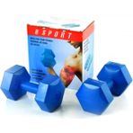 Hsport Yüksek Kalite Demir Tozu 2x2 kg Mavi Dambıl