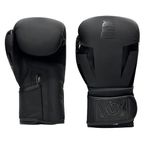 Hsport Yüksek Kalite Profesyonel Boks Eldiveni 10 OZ Dövüş Sporları Kick Boks Muay Thai için Boxing Maç ve İdman Eldiveni (Siyah)