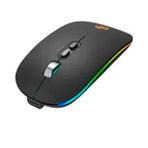 Huahai HXSJ M103FG Siyah Kablosuz Oyuncu Mouse