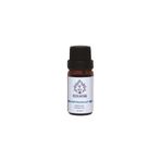 Hulya Kayhan Art De Huile Tibbi Nane Ucucu Yagi 10 Ml
