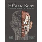 Human Body : A Pop-Up Guide To Anatomy - Richard Walker