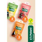 Humm Organic Organik Glutensiz Vegan Muz Çilek ve Mango Mini Küpler Atıştırmalık Paketi - 6 adet (3 çeşit)