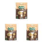 Humm Organic Tahinli ve Pekmezli Vegan Kurabiye 55 Gr (3 paketi)