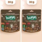 Humm Organik Glutensiz Vegan Kakaolu ve Fındıklı Kek - 30G* 2 Adet