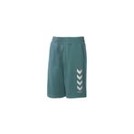 Hummel 931152-1016 Yeşil Kens Erkek Şort