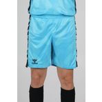 hummel Elegance Profesyonel Kaleci Şortu Buz Mavi
