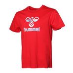Hummel Erkek T-Shirt Açık Kırmızı 911722-3658 Hmldante