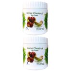 Hunca Care 2x500 ml At Kestanesi Kremi