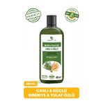 Hunca Care Biberiye ve Yulaf Özlü Şampuan, Güçlü Saçlar ve Hızlı Saç Uzamasına Yardımcı, 485 ml