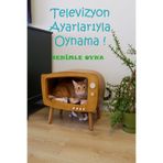 huncar Kedi Evi Ahşap Retro TV Dekoratif Kedi Evi İç Mekan Kediler için