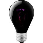 Huoxun Shop A 25W Tarzı Reptil Amfibi Yavru Lambası Için Siyah Gece Isıtma Ampulu Mini Kızılötesi Seramik Isıtıcı Ampul Isı Lambası (Yurt Dışından) - 1