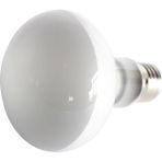 Huoxun Shop A Stili Temizle E27EW Isı Lambası Uva LED Işık Sürüngen Kertenkele Yılan Kaplumbağa Isıtıcı Pet Ampul Lambası AC220V (Yurt Dışından)