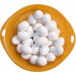 Huoxun Shop B 5 Parça Kuş Malzemeleri Güvercin Sahte Yumurtalar Dolu Plastik Katı Simülasyon Yumurta Yavru Için Üreme Malzemeleri C42 (Yurt Dışından)