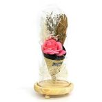 Huramarketing Gül 28/12 cm LED Işıklı Cam Fanus