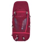 Husky Sırt çantası 40 l – Hafif, sağlam ve su geçirmez dış mekan sırt çantası, geniş depolama alanı, konfor sistemi ve yağmur kılıfı, trekking, yürüyüş ve seyahat için, macenta, 40L