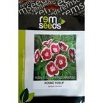 Hüsnü Yusuf Çiçek Tohumu - DIANTHUS BARBATUS - 1 (~ Takribi 50 Tohum)