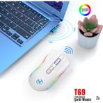 HXSJ T69 Kablosuz Rgb 4800 Dpı Oyuncu Mouse - 650 Mah Yüksek Kapasiteli Batarya - Beyaz