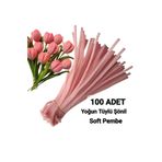 hyc heryerçiçeklenir 100 Adet Açık Pembe Şönil, Çiçek Yapımına Uygun Tüylü Tel, 30 Cm 6mm