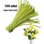 hyc heryerçiçeklenir 100 Adet Açık Sarı Şönil, Çiçek Yapımına Uygun Tüylü Tel, 30 cm 6 mm