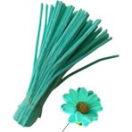 hyc heryerçiçeklenir 50 Adet Mint Yeşili Şönil, Çiçek Yapımına Uygun Tüylü Tel, 30 cm 6mm