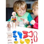 HYD Eğitici Oyuncak İnsan Vücudu Anatomisi Organ Bulmaca Puzzle Bultak Yapboz Montessori