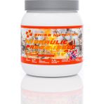Hydraulic Press 13900 | Pre Workout - Orman Meyveleri