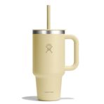 Hydro Flask 32oz Her Yerde Seyahat Tumbler Starlight