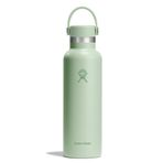 HYDRO FLASK - Standart Ağızlı İçecek Şişesi 621 ml (21 oz) - Yalıtımlı Paslanmaz Çelik Su Şişesi - Sızdırmaz Esnek Kapaklı ve Kayışlı Spor Şişesi - Termos Şişe Bulaşık Makinesinde Yıkanabilir - Aloe