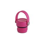 Hydro Flask Üniseks – Yetişkin Standart Ağız Flex Cap Şişe Kilit, Carnation, 48,5 mm