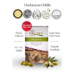 hyllarima Organik Natürel Sızma Zeytinyağı 1 Lt. Teneke
