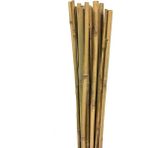 Hype Store 120 cm Doğal Bambu Bitki Destek Çubuğu 10 Adet 5-10 mm - Standart