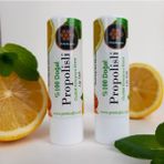 Hype Store 2 Adet Dudak Kremi Propolis Bal Nane Limon Aynısefa Shea Hindistan Cevizi Üzüm Çekirdeği Yağları Bal - Standart