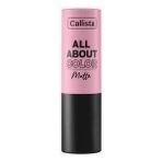 Hype Store All About Color Matte Lipstick Mat Görünümlü Ruj 504 That Rose, Bordo - Çok Renkli