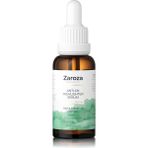 Hype Store Zaroza Leke ve Yaşlanma Karşıtı Arbutin & Vitamin C Cilt Aydınlatıcı Serum 30 ml - Standart