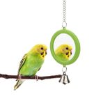Hypeety Evcil Hayvan Kuş Aynası Çan İnteraktif Papağan Oyuncak Kuş Kafesi Aynası Cockatiel Muhabbet Kuşları Kanarya Muhabbet kuşu için (Yeşil)