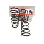 HYUNDAI GETZ- 06/11 ÖN HELEZON YAYI R/L (2Lİ SET) 1,3/1,4/1,6cc (12,5X142) (STDR)
