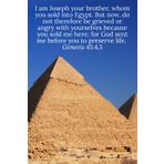 I am Joseph your brother, whom you sold into Egypt. But now, do not therefore be grieved or angry with yourselves because you sold me here; for God ... life. Genesis 45:4,5 - Daily Journal